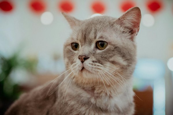 Explore the variety of montessori toys at our shop